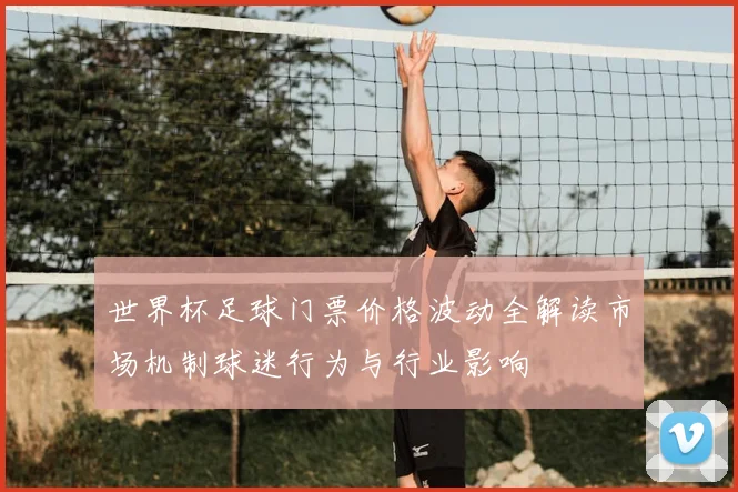 世界杯足球门票价格波动全解读市场机制球迷行为与行业影响