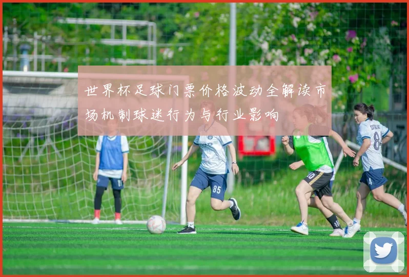 世界杯足球门票价格波动全解读市场机制球迷行为与行业影响