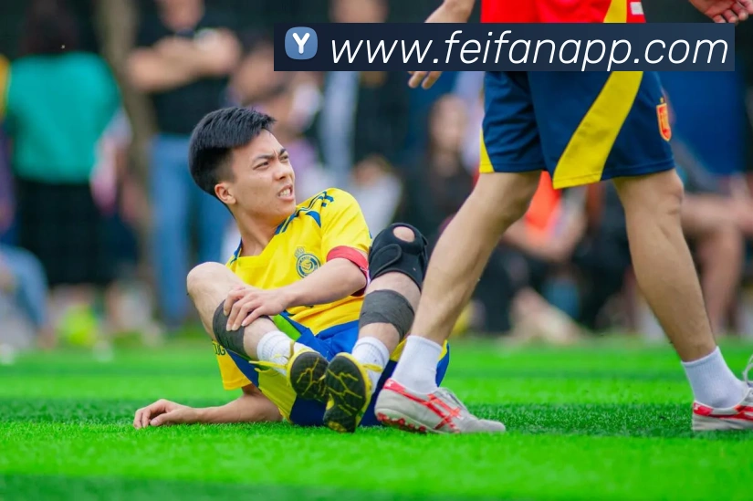 非凡体育平台生态图