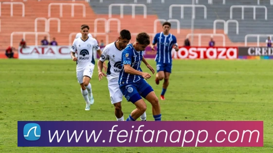 非凡体育APP 封面图