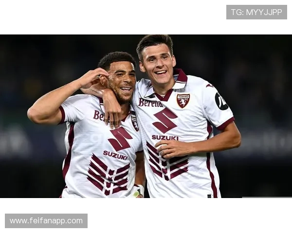 意甲保级球队名单及保级关键因素分析 意甲保级球队名单及保级关键因素分析